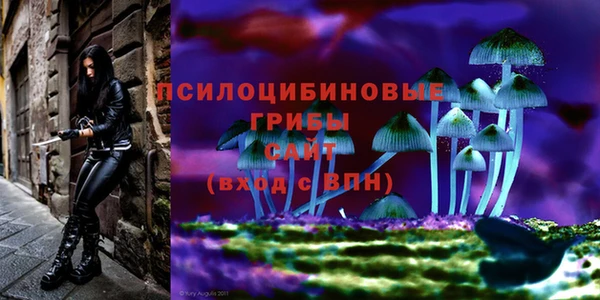 винт Балахна