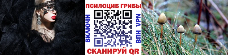 ссылка на мегу ТОР  Мглин  Псилоцибиновые грибы мицелий  продажа наркотиков 